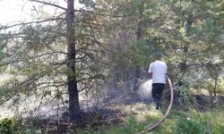 Pınarbaşı ilçesinde çıkan orman yangını söndürüldü