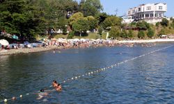 Sinop plajlarındaki yoğunluk Akdeniz ve Ege'yi aratmıyor