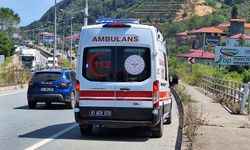 Trabzon'da devrilen hafif ticari aracın sürücüsü yaralandı