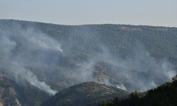 Bilecik'te çıkan orman yangınına havadan müdahale ediliyor (3)