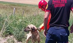 Su kuyusuna düşen köpeği itfaiye kurtardı