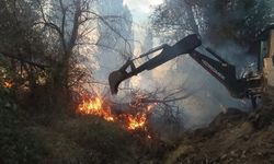 Çorum'da ağaçlık alana sıçrayan anız yangını 100 dönüm alana zarar verdi