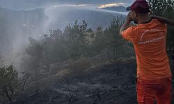 Gümüşhane'de iki örtü yangınında 5,5 hektarlık alan zarar gördü