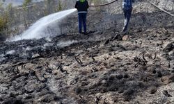 Gümüşhane'de örtü yangınında 2 hektarlık alan zarar gördü