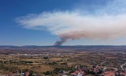 GÜNCELLEME - Bolu'da ormanlık alanda çıkan yangına müdahale sürüyor