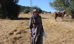 Karabüklü Radiye Teyze, ilerlemiş yaşına rağmen tarım ve hayvancılıkla uğraşıyor