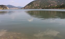 Karabük'te göl ve göletlere 30 bin sazan yavrusu bırakıldı