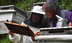 Karadenizli kadın arıcı 38 yıldır bal üretiyor