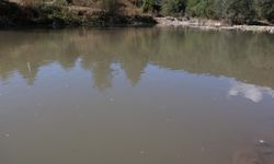 Kastamonu'da köy sakinleri, atık suların çaya karışmaması için çözüm bekliyor