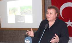 Kızılırmak Deltası Sulak Alan Revize Yönetim Planı Çalıştayı yapıldı