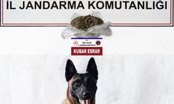 Ordu'da otomobilinde uyuşturucu bulunan şüpheli yakalandı