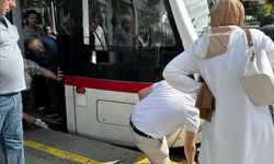 Samsun'da tramvayın çarptığı köpeğin ayağı koptu
