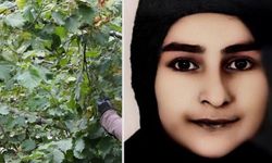 Samsun'da 17 taşında genç kız arı sokması sonucu hayatını kaybetti!