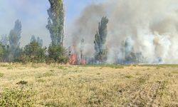 Çorum'da yangın: Bağlar, bahçeler ve tarlalar kül oldu