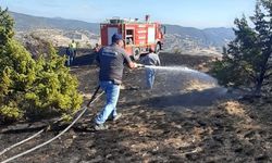 Çorum'da yangın felaketi: Ormanlık alan ve 10 dekar tarım arazisi kül oldu!