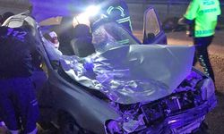 Sungurlu’da korkunç kaza: Otomobil yola çıkan hayvanlara çarptı