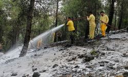 Çorum’da yangın paniği: Ormanlık alanda yangın çıktı