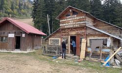 Artvin'de kayak merkezine yiyecek aramak için gelen ayılar boş binalara zarar verdi