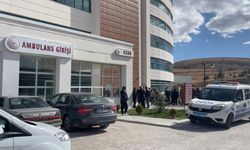 Bayburt'ta bir kişi kız kardeşini öldürdü, eniştesini yaraladı