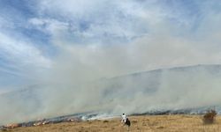 Bayburt'ta dağlık alandaki örtü yangını söndürüldü