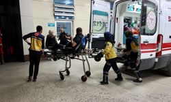 Düzce'de yedikleri mantardan zehirlenen 3'ü çocuk 8 kişi hastaneye kaldırıldı