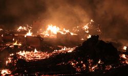 GÜNCELLEME 3 - Kastamonu'da 43 köy evini etkileyen yangın kontrol altına alındı
