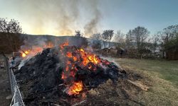 GÜNCELLEME - Karabük'te 4 samanlık yandı