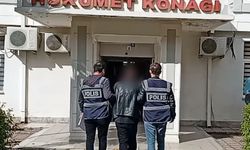Sinop'ta hakkında 24 yıl hapis cezası bulunan hükümlü yakalandı