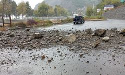 Zonguldak'ta yamaçtan düşen kayalar kamyonete isabet etti