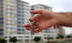 Ev sahipleri ve kiracılar dikkat: 10 soruda kira beyannamesi