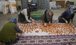 Uşaklı kadınlar kurdukları kooperatifle Türkiye'ye organik tarhana satıyor