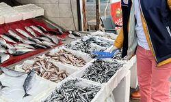 19 Mayıs'ta balıkçılık sektörü denetlendi