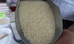 Tosya'da yeni sezon pirinci satışa sunuldu