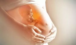 Anne adaylarının kurtarıcısı olacak: Hamilelikte şiddetli bulantı ve kusmaların nedeni bulundu