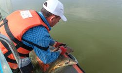 Çorum'da yasak balık avcılarına şok baskın! 3 bin metre balık ağına el konuldu