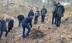 Osmancık'ta ormanları gençleştirmek için uygulamalı eğitim
