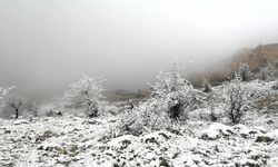 Amasya'da kar ve sis etkili oldu
