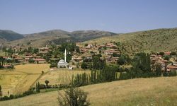 Çorum'daki bu köy Cumhurbaşkanı kararıyla başka köye bağlandı
