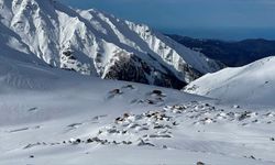 Kaçkar Dağları'nda "heliski" heyecanı devam ediyor