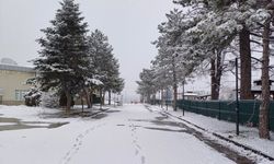 Yeniçağa'da kar yağışı etkili oldu