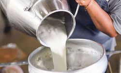 Süt fiyatlarında kriz: Üretici ve Tüketici arasında fiyat çıkmazı!