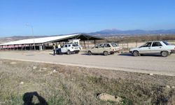 Amasya'da jandarma ekipleri sürücüleri emniyet kemeri konusunda uyardı