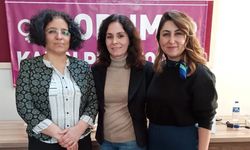 Çorum'dan 8 Mart çağrısı: Kadınlar alanlara iniyor