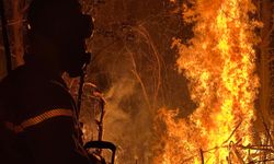Düzce'de çıkan yangında yaklaşık 6 dönüm ormanlık alan zarar gördü