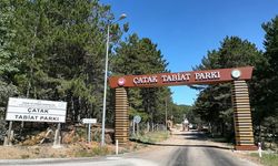 Çorum’un saklı cenneti: Yeşilin bin bir tonunu barındıran Çatak Tabiat Parkı