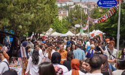 Karabük'te Türkiye'nin kültürel zenginliğini yansıtan festival sona erdi