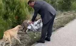 Kargı Belediye Başkanı Dereli'den sokak hayvanlarına örnek destek