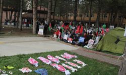 İsrail vahşetine büyük tepki! Hitit Üniversitesi'nde Filistin için oturma eylemi başladı