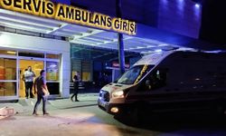 Sinop'ta motosikletin devrildiği kazada köy muhtarı ağır yaralandı