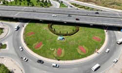 Trabzon'da park ve bahçelerde çalışma yapıldı